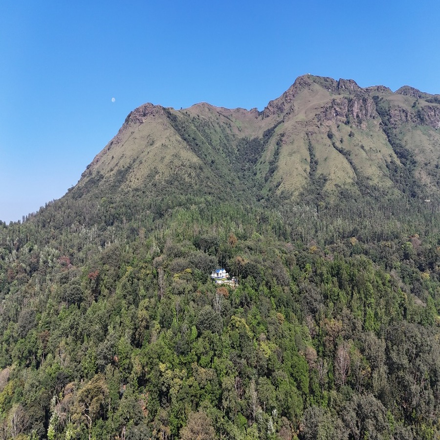 BrewBerry DroneView