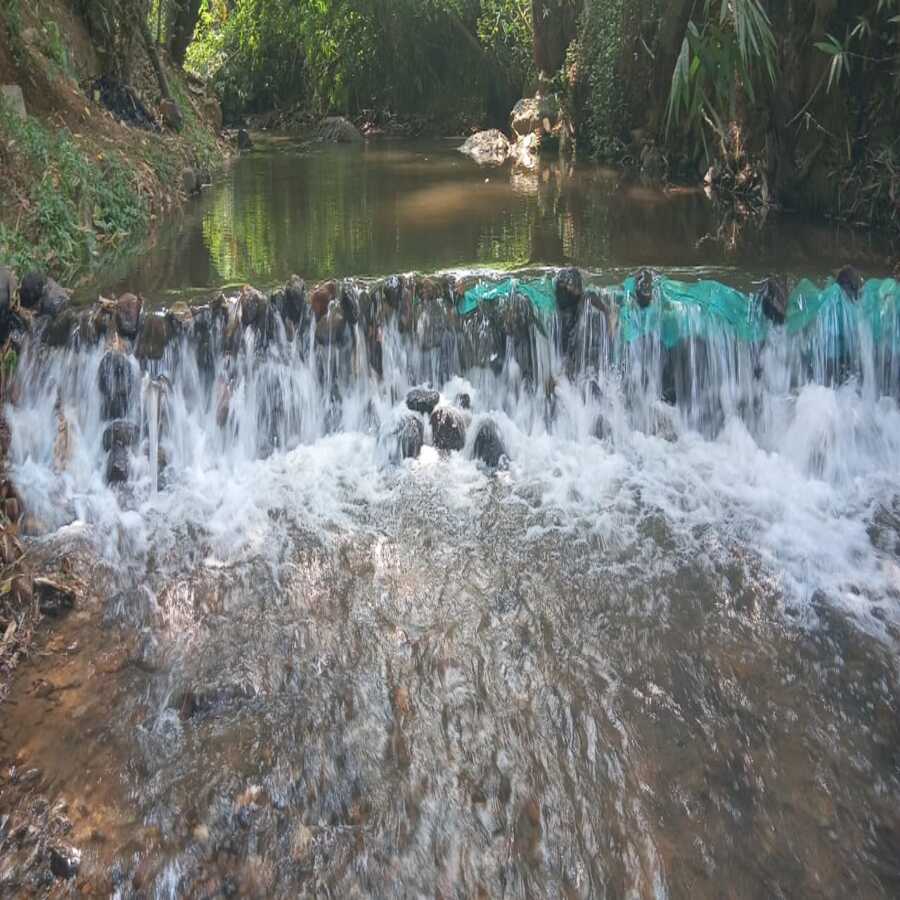Nature Camping Coorg - River