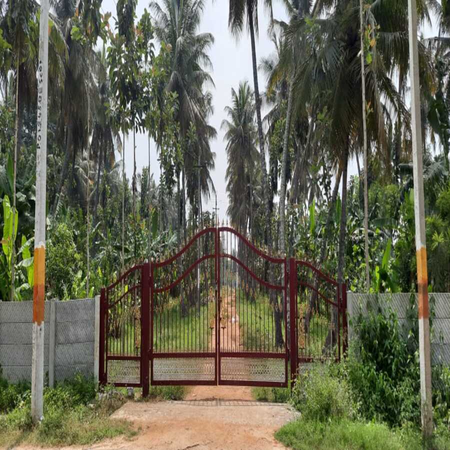 Estate View