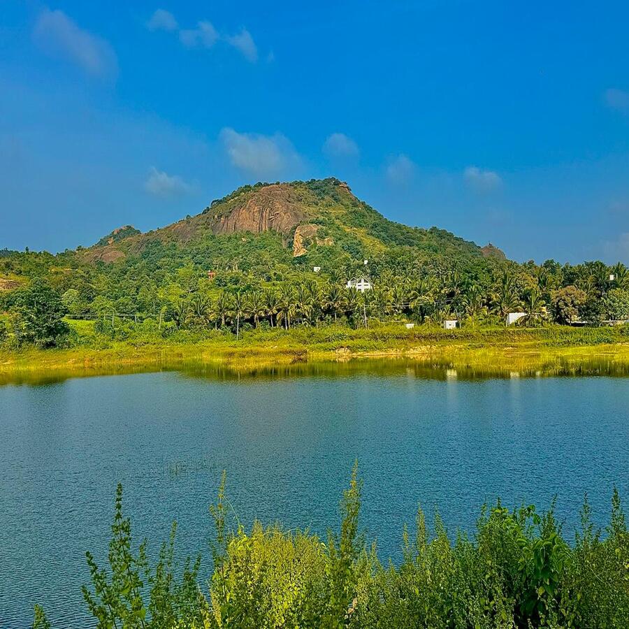 Frontview with Lake