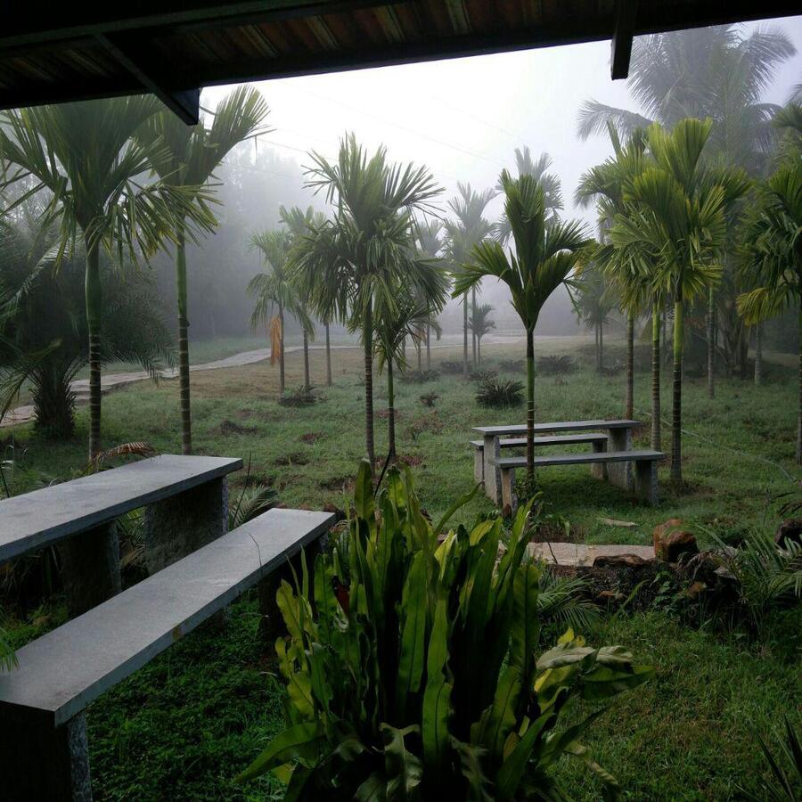 Garden View 2