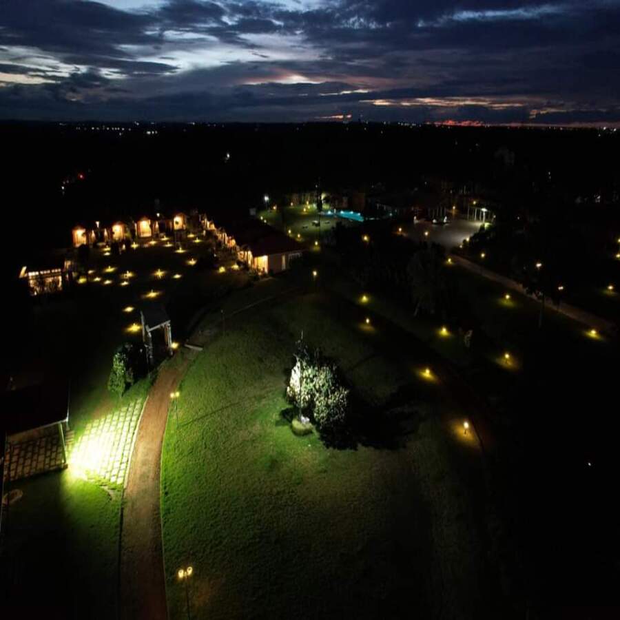 Night Lawn View