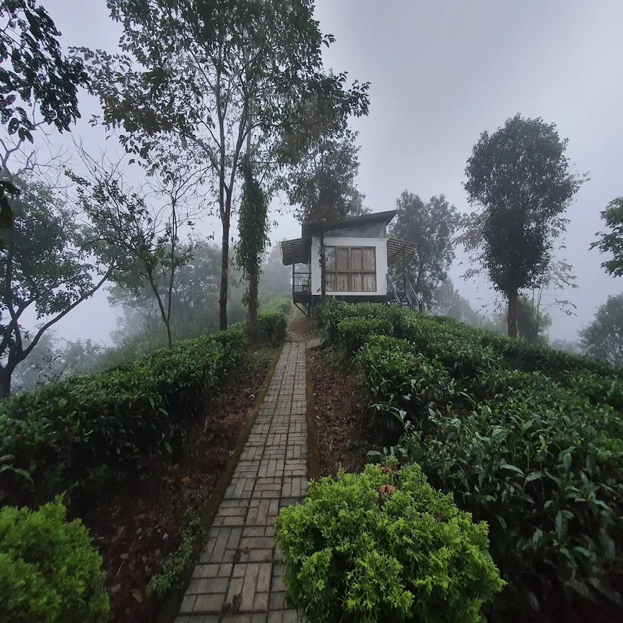 Cottagever1