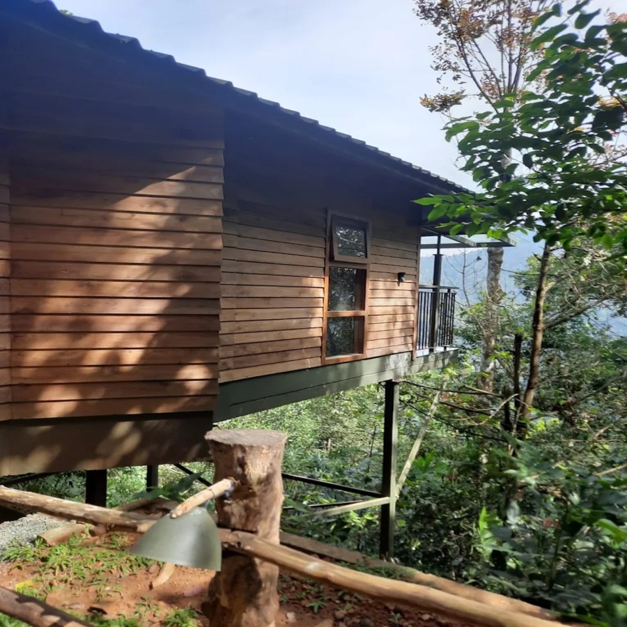 Cottagever1