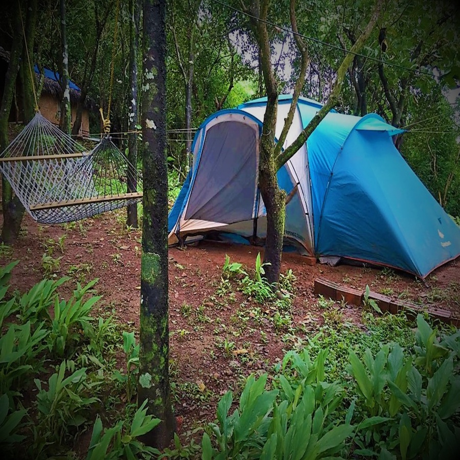Tentstayver1