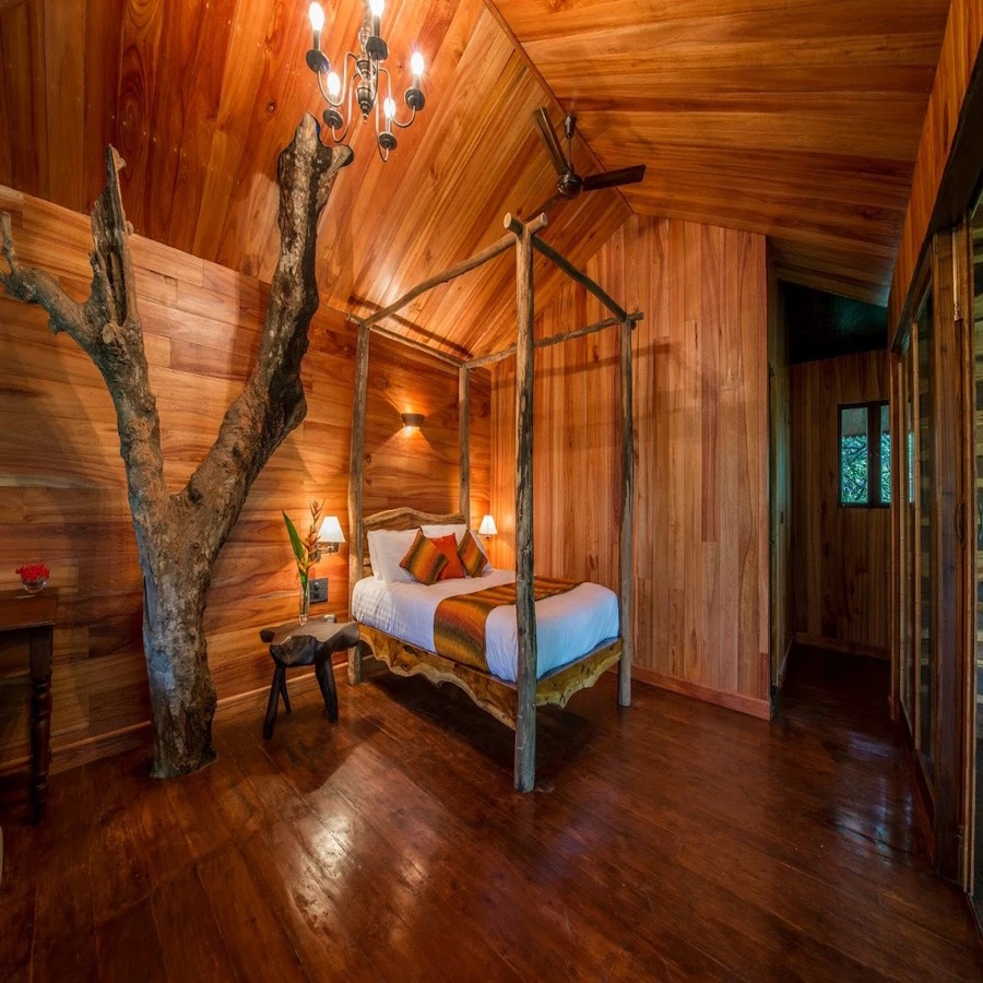 Tree Housever1