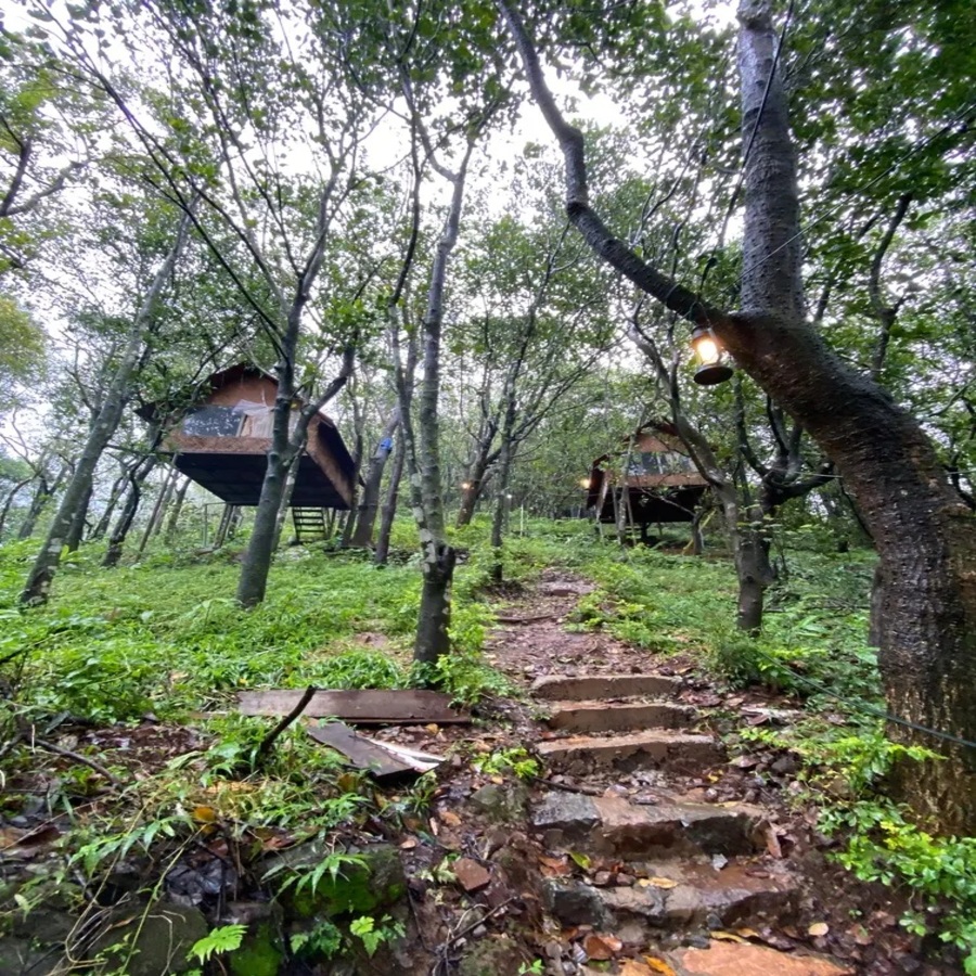 Tree Housever1
